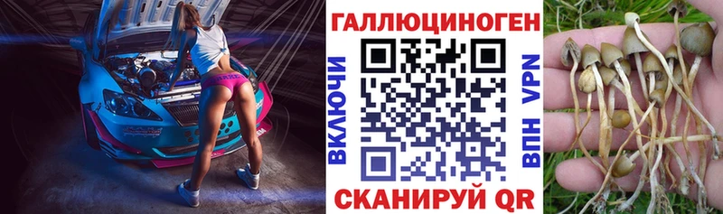 ссылка на мегу ССЫЛКА  Печоры  Галлюциногенные грибы Magic Shrooms 